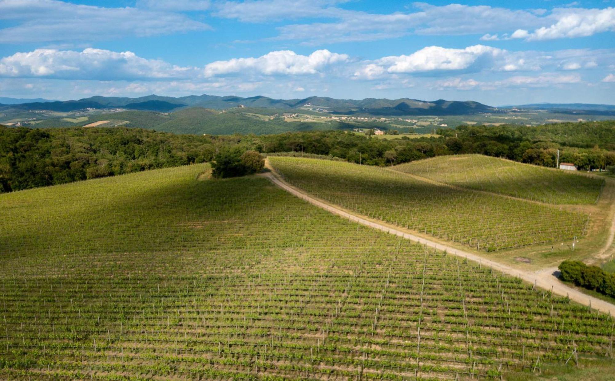 Borgo Scopeto Wine & Country Relais Hotel Vagliagli Exterior photo